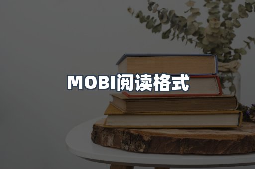 EPUB电子书
